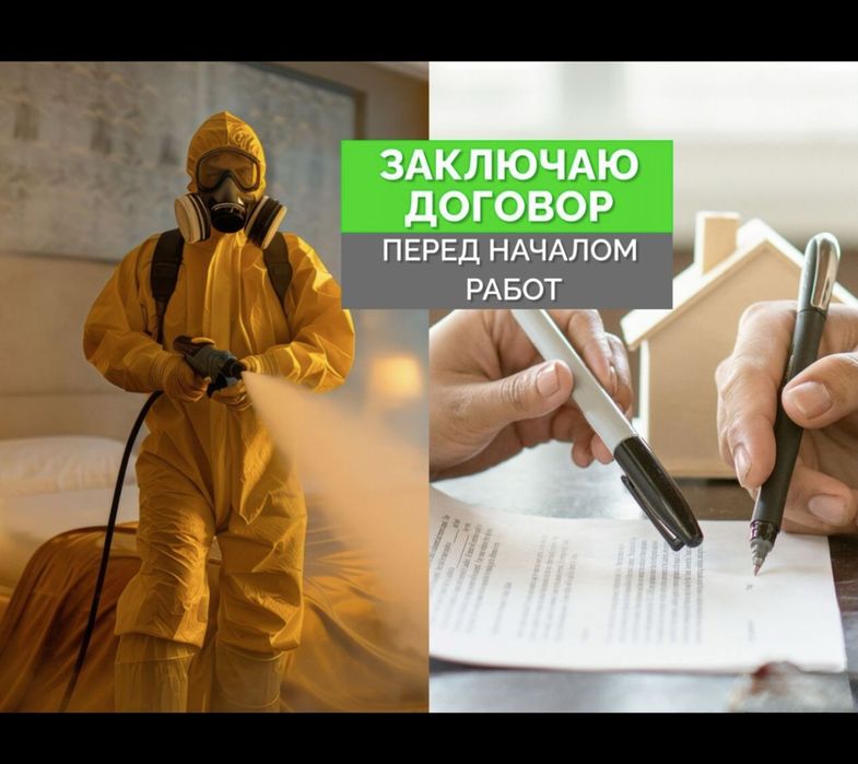 Дезинфекция с гарантией таракан клоп жук короед мышей скорпион клещ