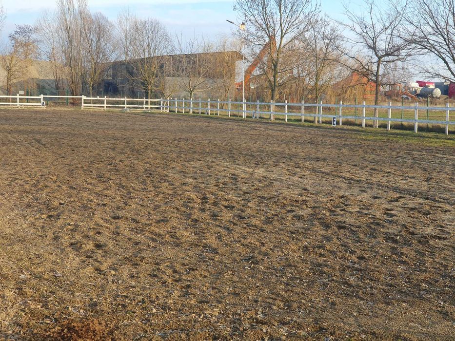 Pensiune pentru cai/ cazare cai