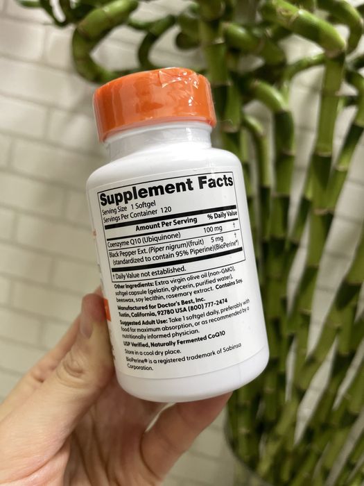High absorption CoQ10