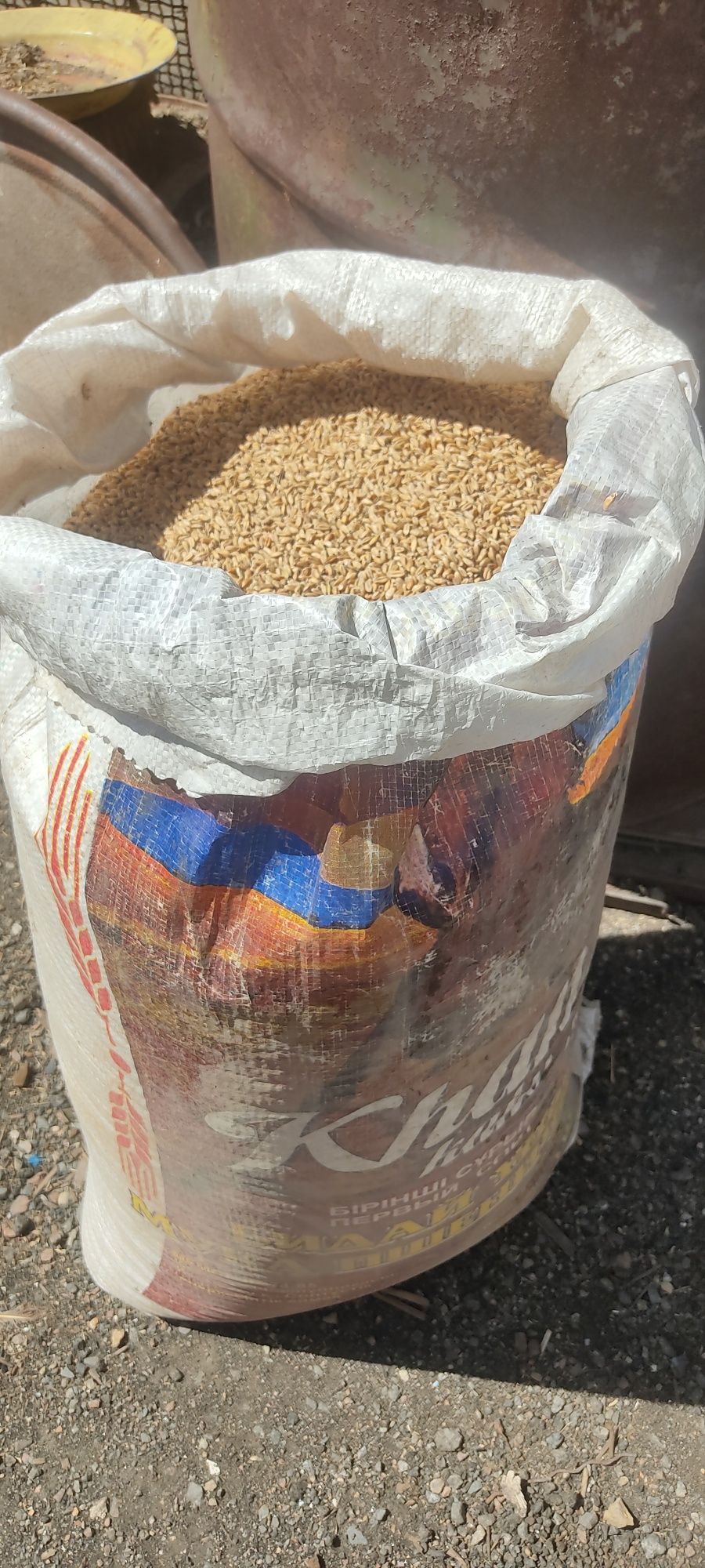 Продам чистое сухое зерно