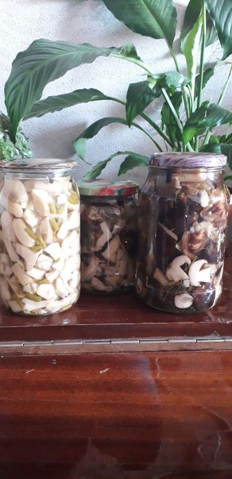 Маринованные грибы