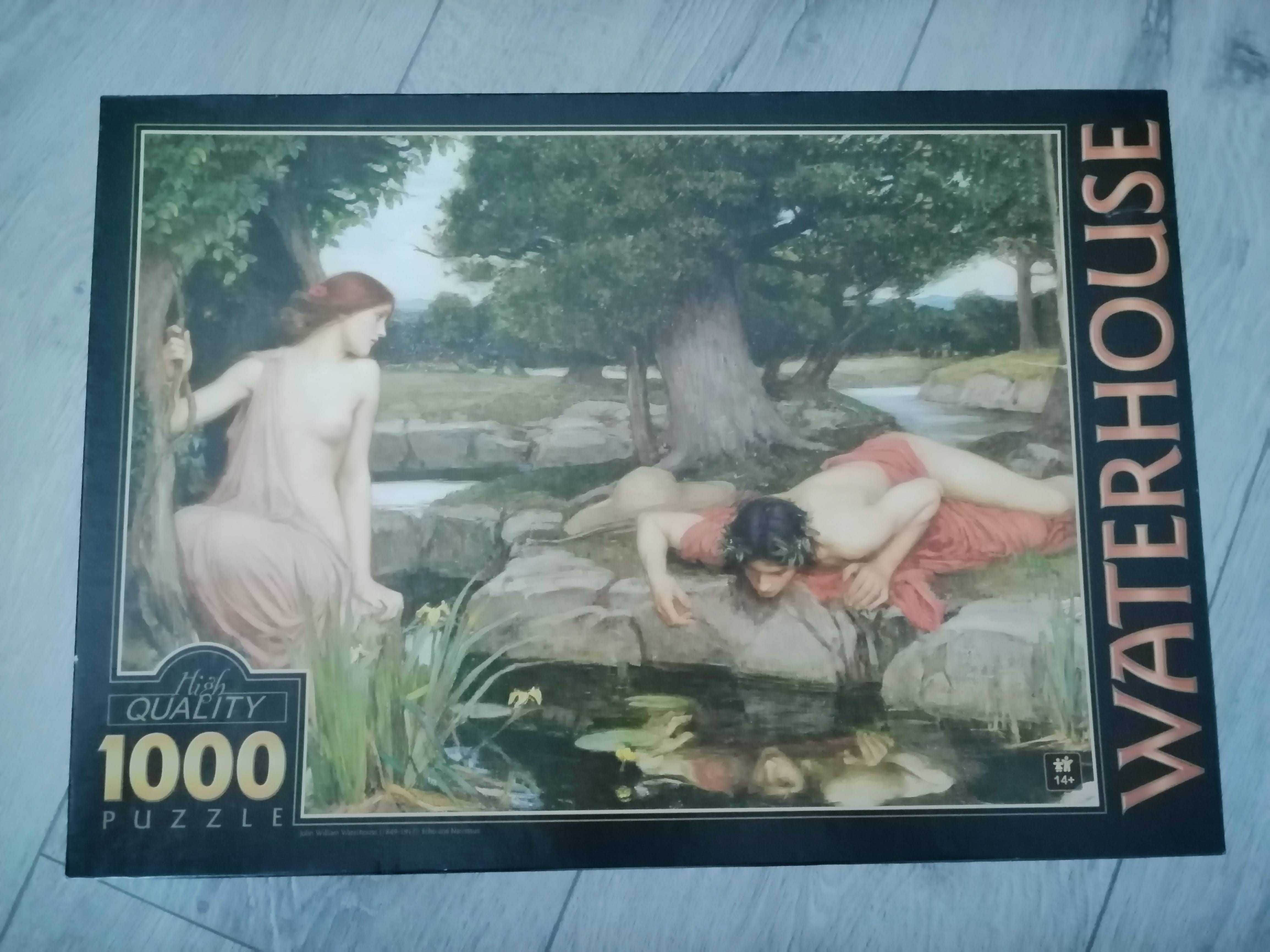 Puzzle D-Toys John William Waterhouse: Echo and Narcissus, 1000 piese
