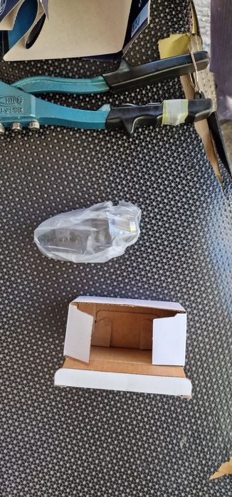 Mandrina rapida Bosch