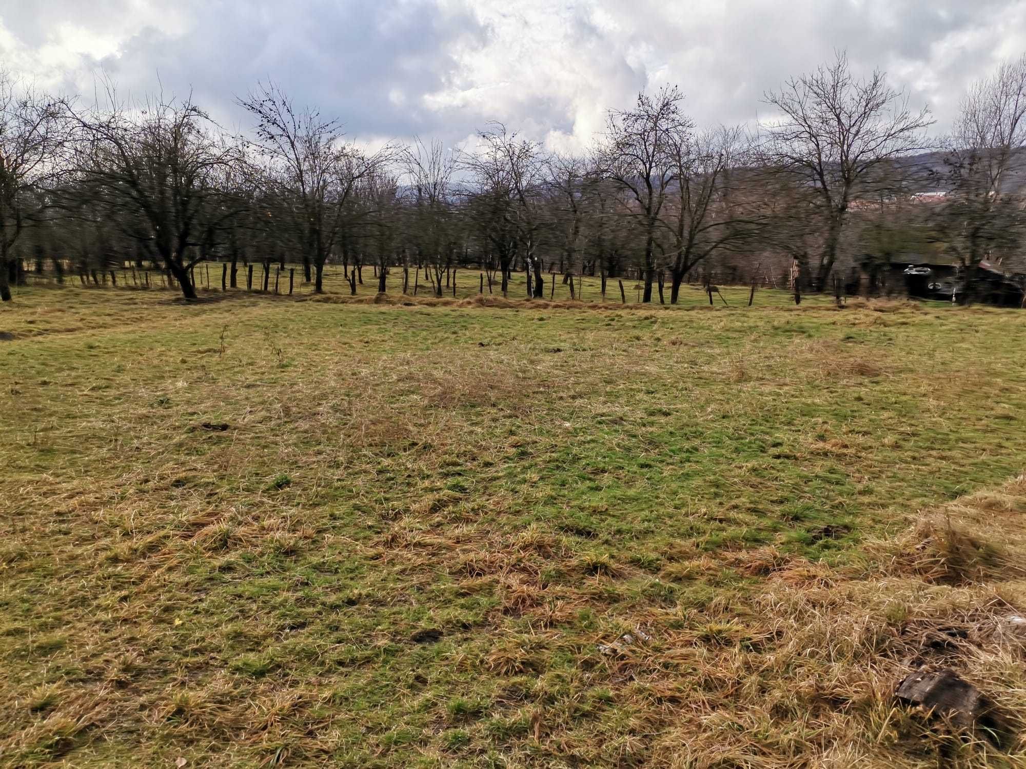 Casă mobilată-utilată, 3500 mp Teren, Schitu-Golești, Argeș!