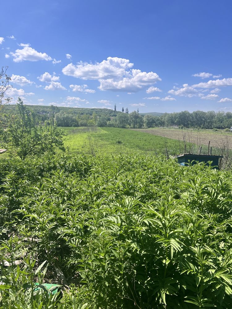 Vand teren cu casa