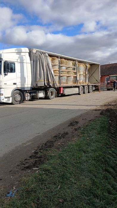 Baloti Rotunzi Fan sau Lucerna min.40.Drept.500.Pomi fructiferi >RO ES