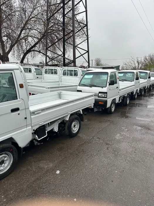 Labo 2025 naqtga va nasiyaga chiqazib beramiz