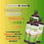 Oleo ,infuzie din frunze de măslin.