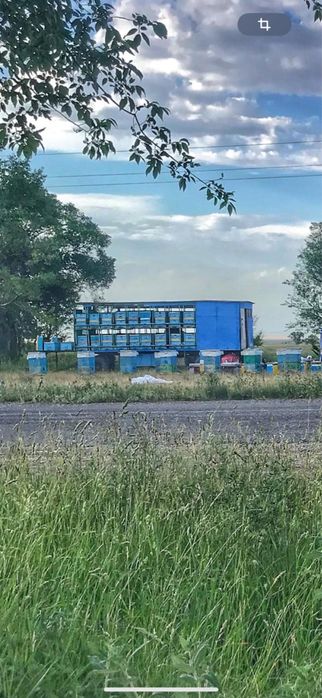 Пчелоприцеп с ульями