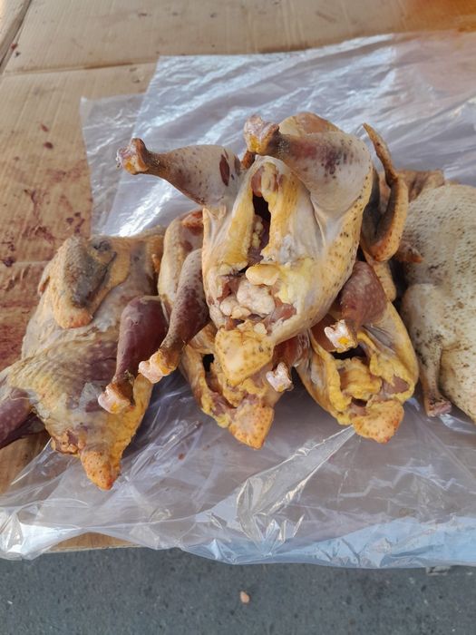 Мясо цесарки продаются