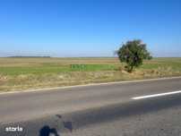 Teren De Vânzare În Frumușani Dn 4 - Stradal