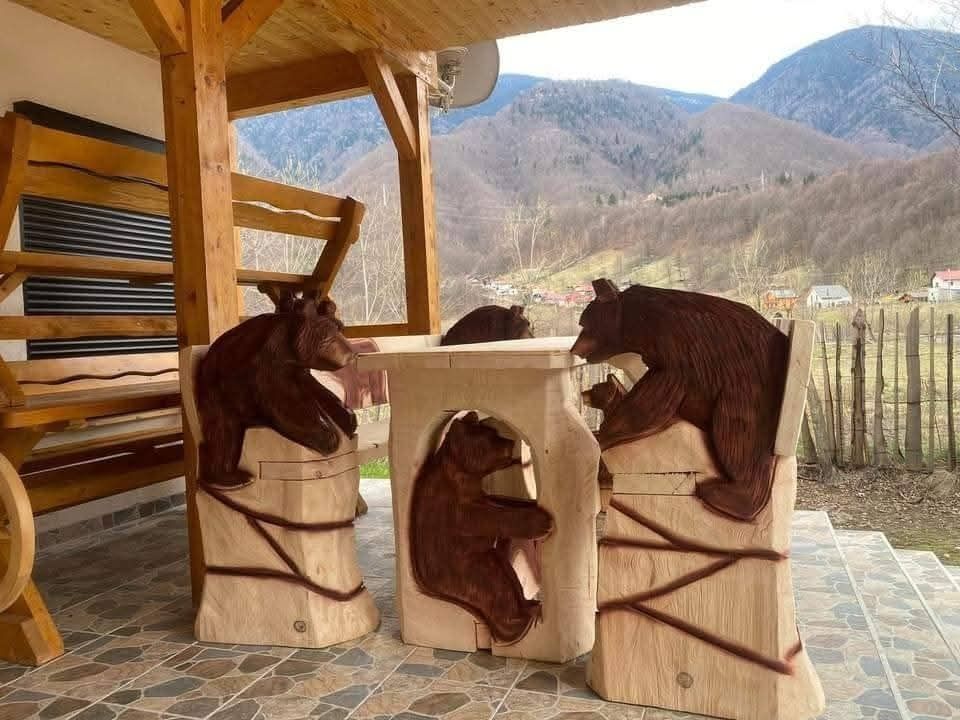 Masa, banca din lemn masiv - Unicat - Mobilier gradina
