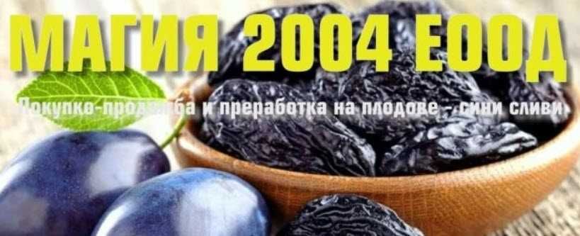 Магия 2004 ЕООД предоставя най-високо качество сушени сини сливи