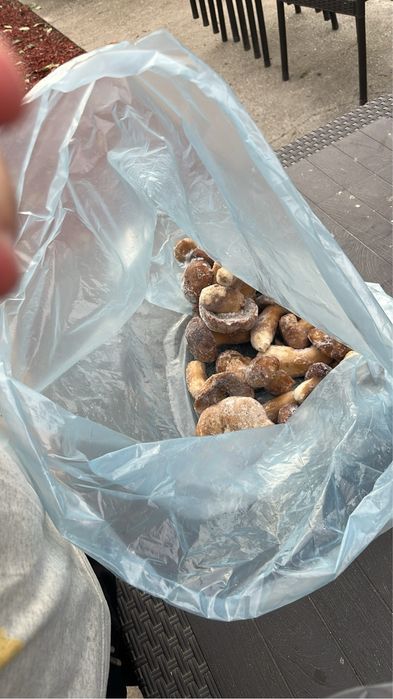 Пуловер , риза и вратовръзка