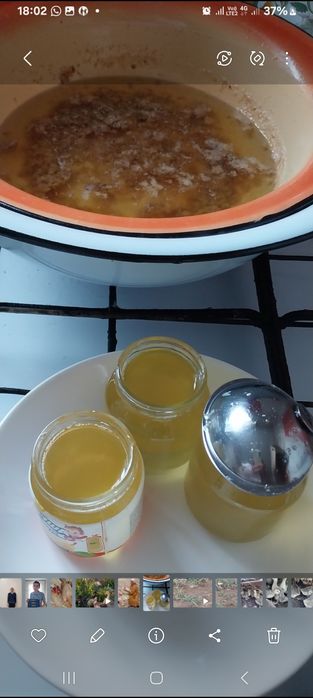 Гусиный жир продется