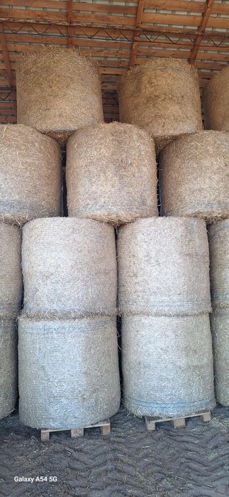 Baloți paie de grau 2025