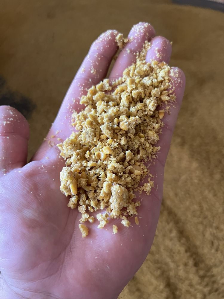 Srot Soia full fat proteina bruta 46%