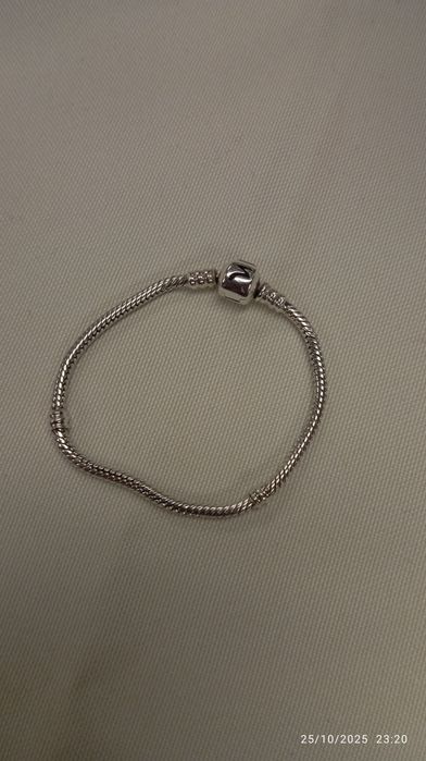 Сребърна гривна тип ,,Пандора"  50лв