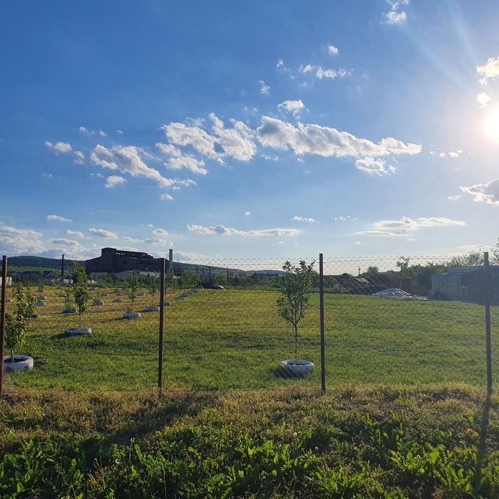 Vând urgent teren intravilan