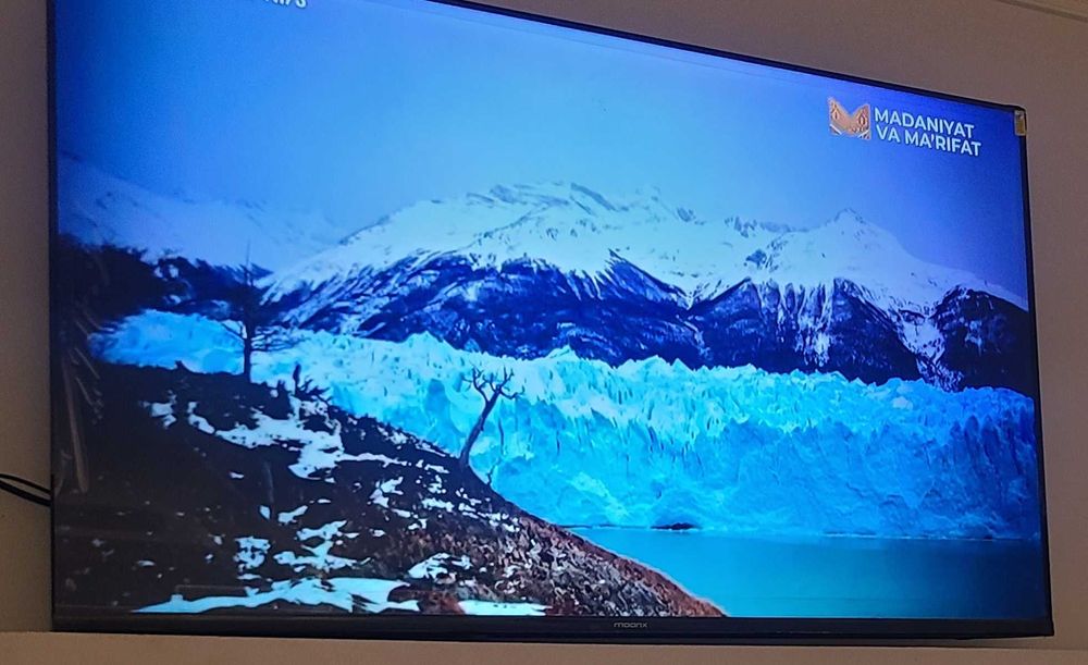 Kunlik kvartira. Xoctel