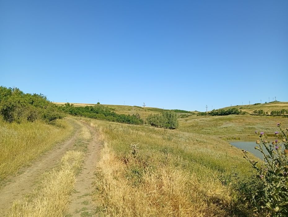 15 parcele teren la 1000mp/buc la 20euro/mp sau tot terenul la 5 E/mp