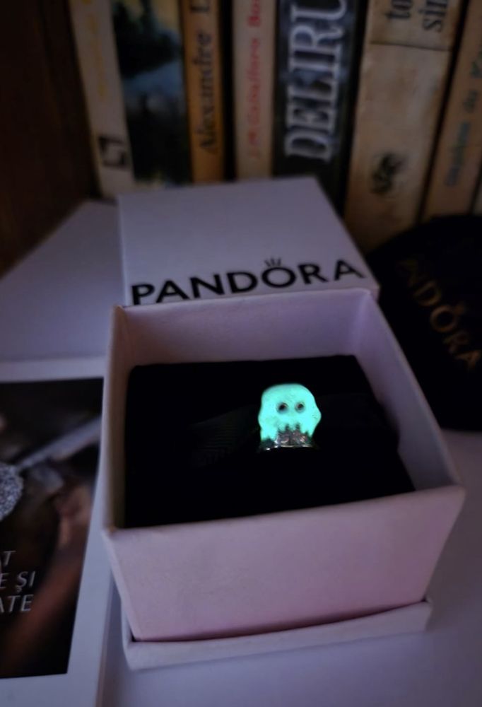 Talismane din argint diverse modele pentru bratara pandora