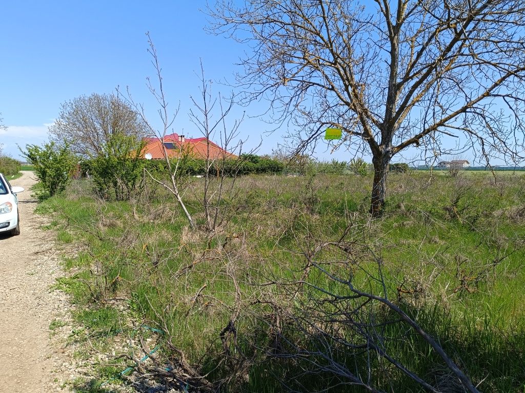 Teren intravilan Dascălu