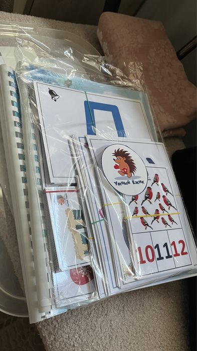 Игровая обучающая программа «Умный ёжик»