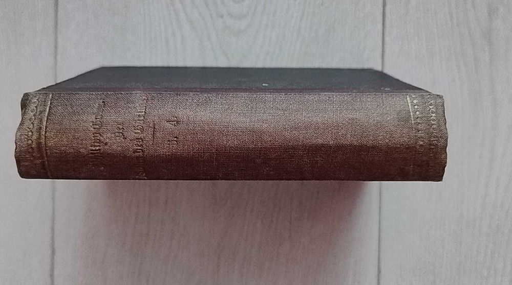 Der Sohn des Gärtners: roman von Philipp Galen, vol. 3, 4