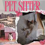 Pet Sitter în Brașov – Îngrijire Pisici cu Drag și Răbdare
