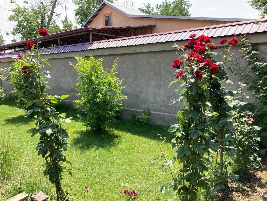 Сергели Дом аренда 5 ком