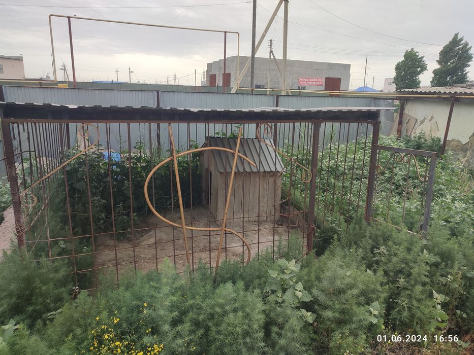 Продам вальер, для сабаки -Летний курятник