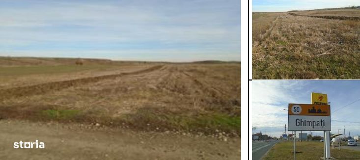 Teren Extravilan Arabil Ghimpati, ID: R1964858