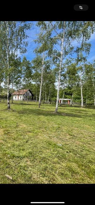 Teren intravilan Valea Avrigului