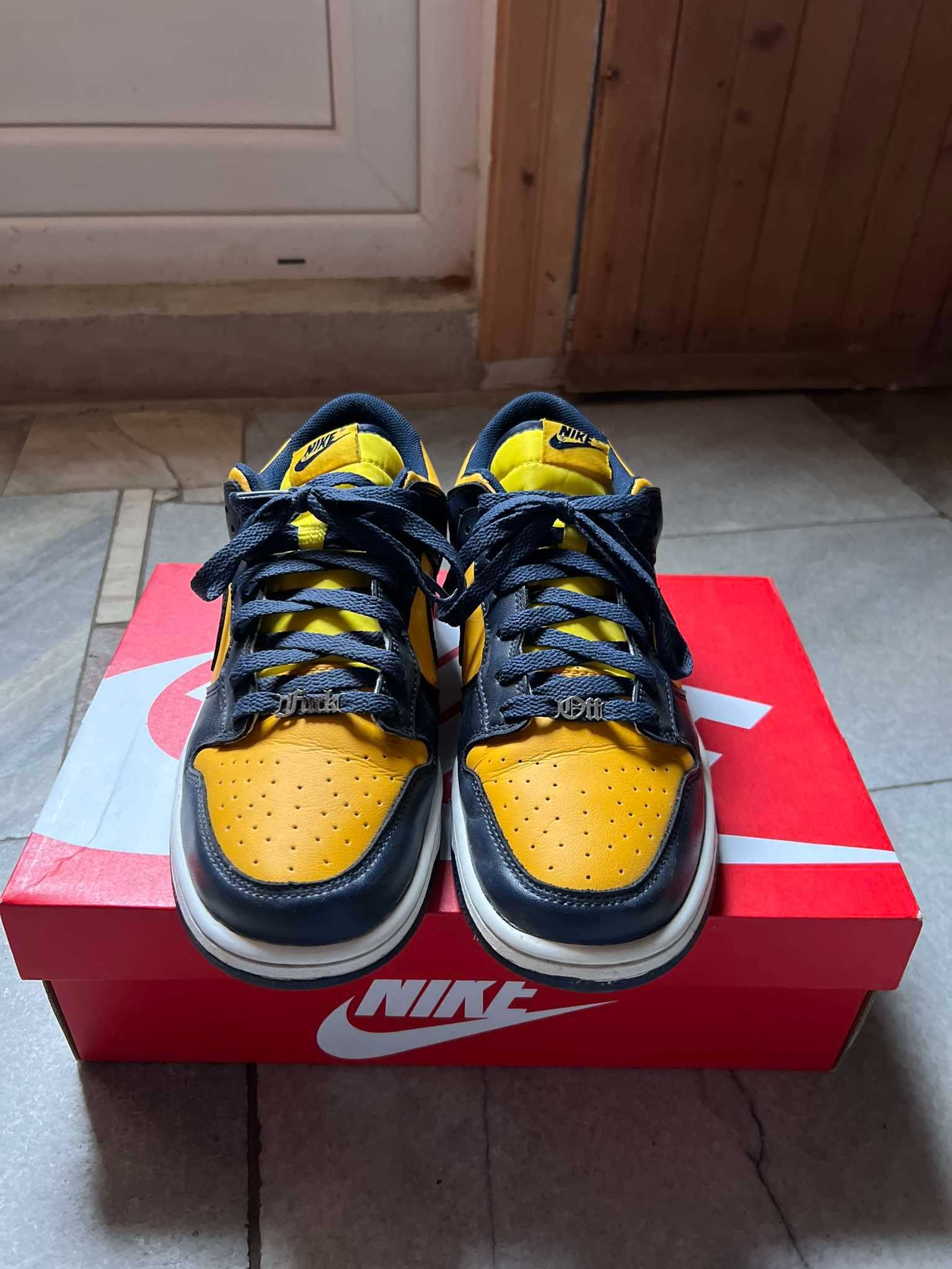 Nike Dunk Low Michigan 45