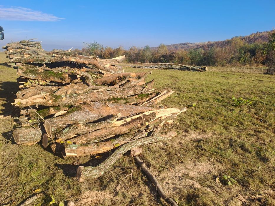 Vând lemn de foc fag+carpen+gorun