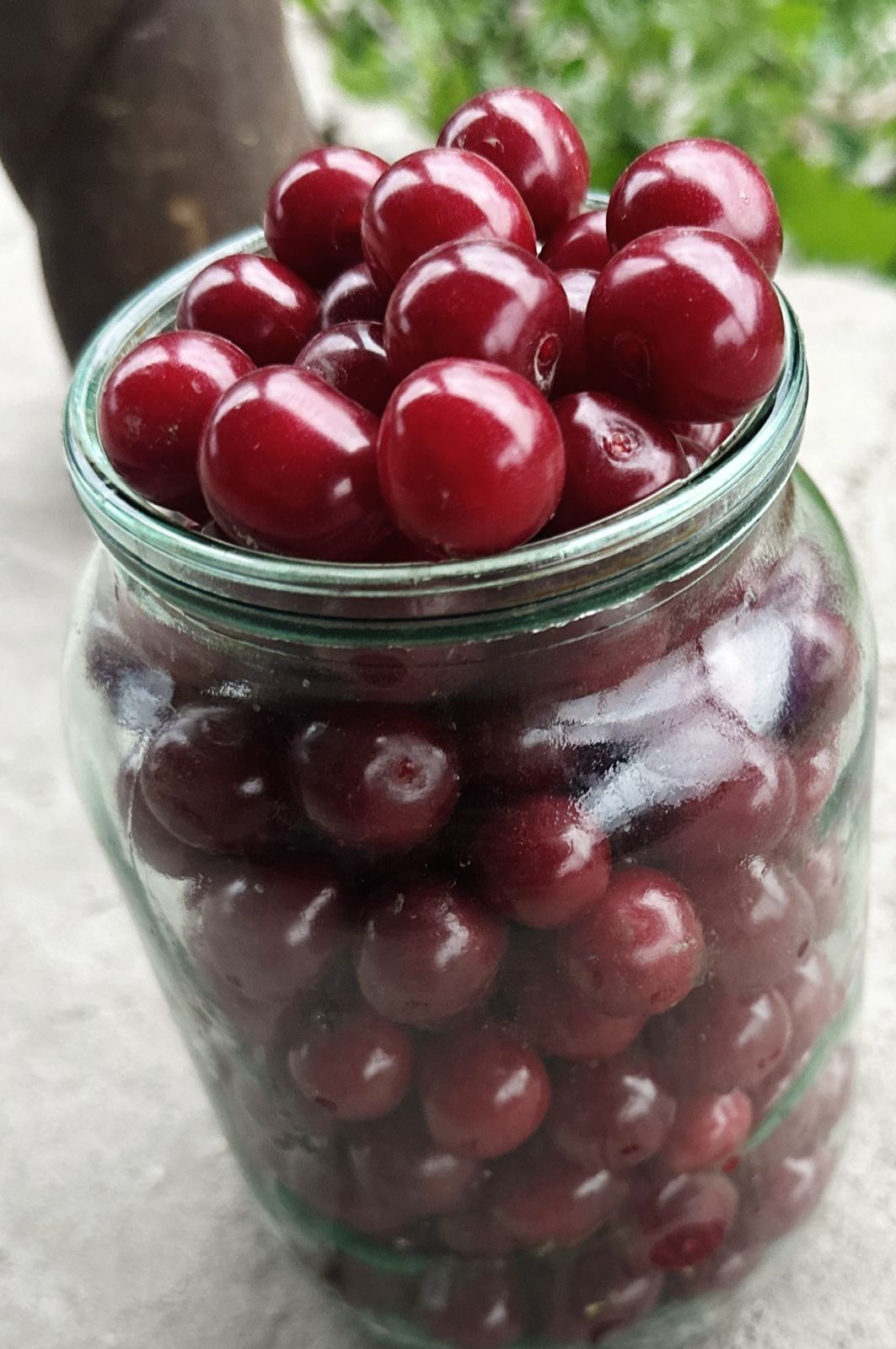 Продам вишню 450т литр