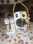Boxă karaoke Divoom SparkPro cu 2 microfoane wireless