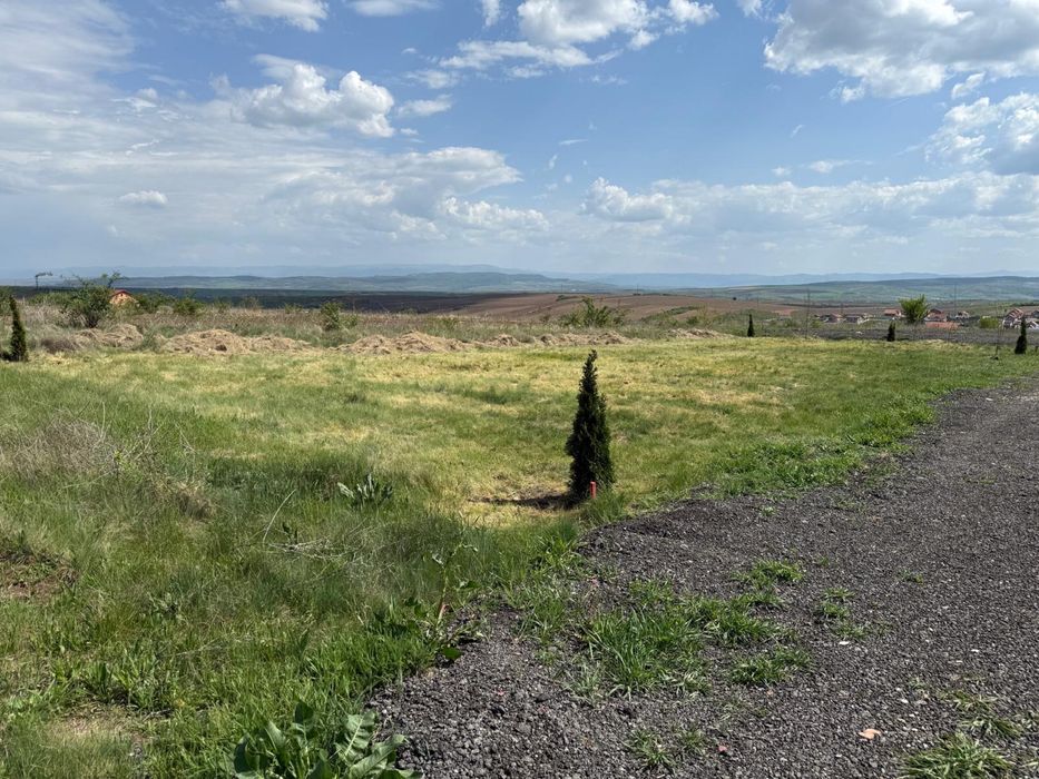 Vand teren intravilan cu proiect de casă .