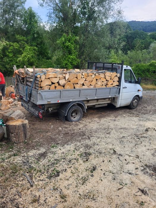 Lemne de foc fag chituci