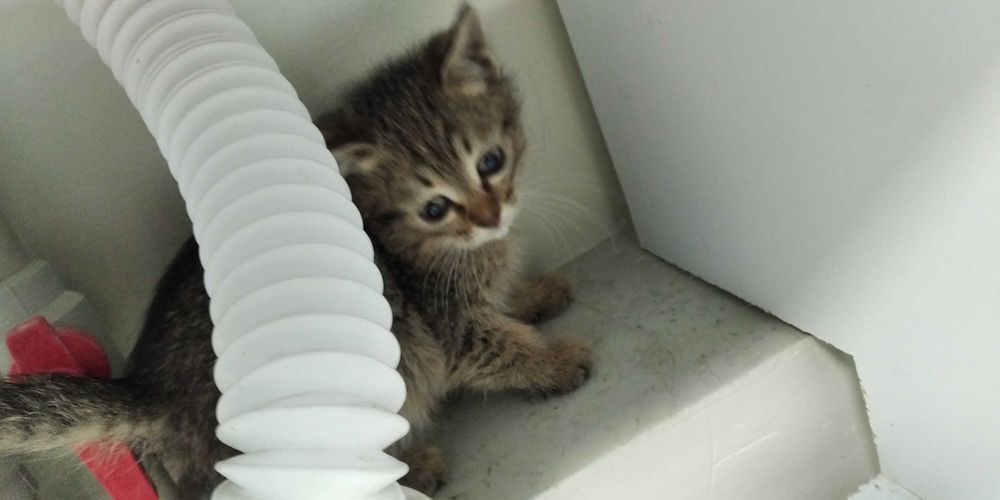 Сейчас осень, но нам так не хватает тепла!