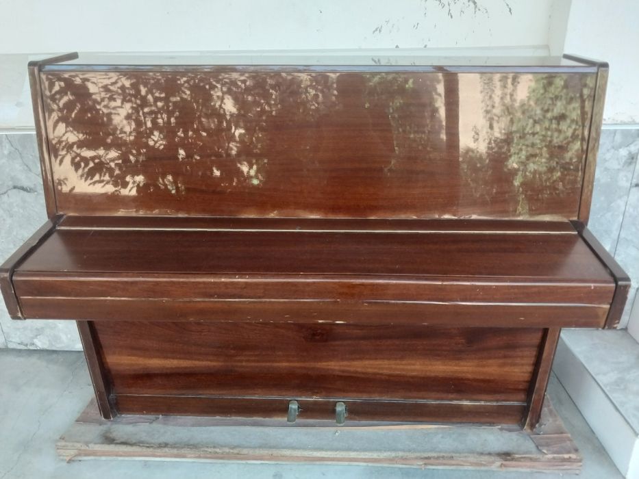 Pionina RIGA sotiladi