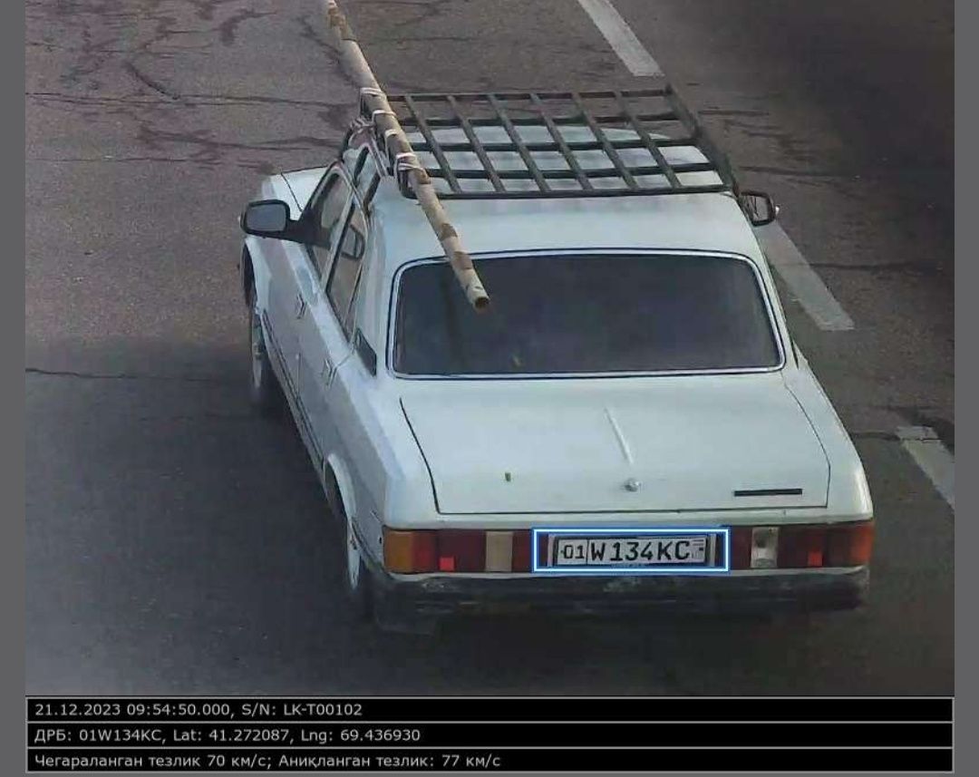 Volga 31029 gaz/benzin
