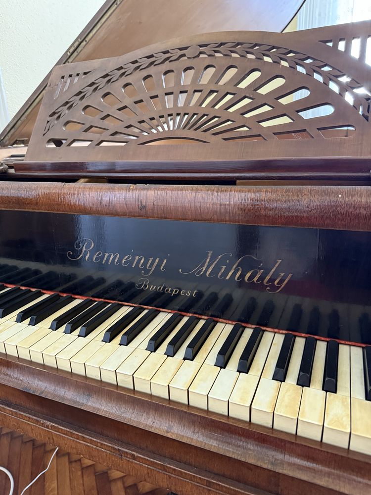 Gran Piano Remenyi Mihaly Budapest
