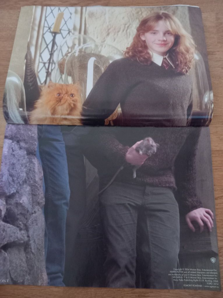 Harry Potter editura egmont postere  Warner Bros
