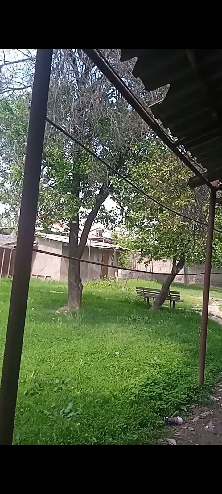 Учаска Янги Узбекистон