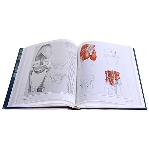 Човешкото тяло Учебник по пластична анатомия Годфрид Бамес
