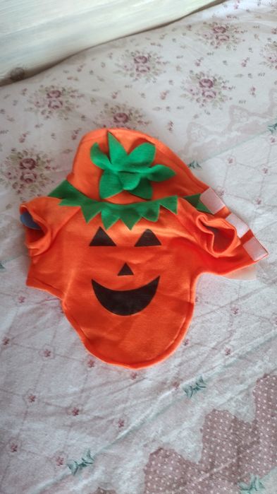 Дреха за кучета Halloween Купички и аксесоари за домашни любимци