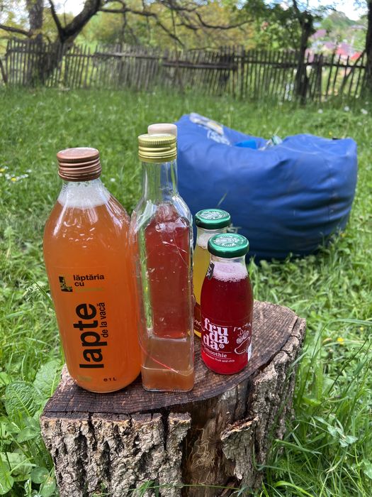 Probiotice Kombucha, Kefir de Apă și de Lapte de Capră Fermentat