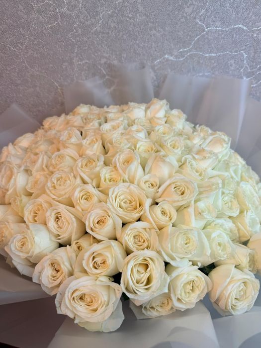 101 метровые розы